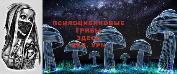 тгк Аркадак