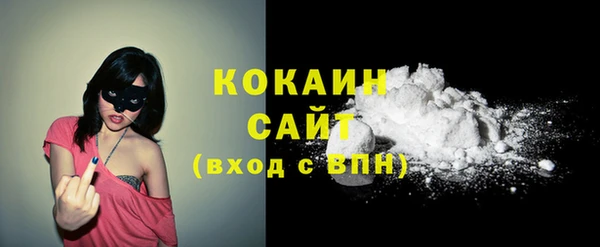 хмурый Арсеньев