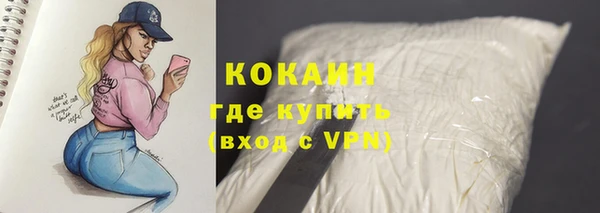 хмурый Арсеньев