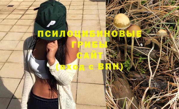 хмурый Арсеньев