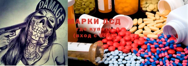 тгк Аркадак