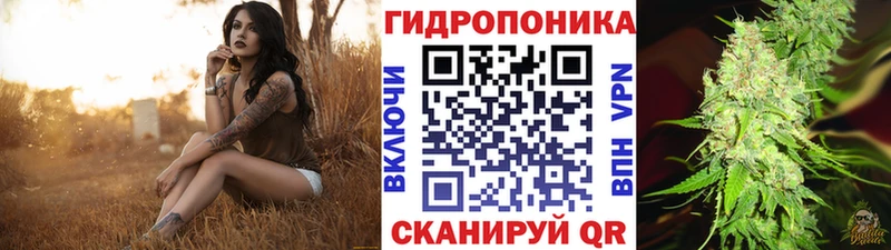 Купить закладки  Владивосток  Бошки марихуана конопля 