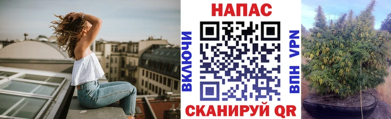 Марихуана SATIVA & INDICA Владивосток